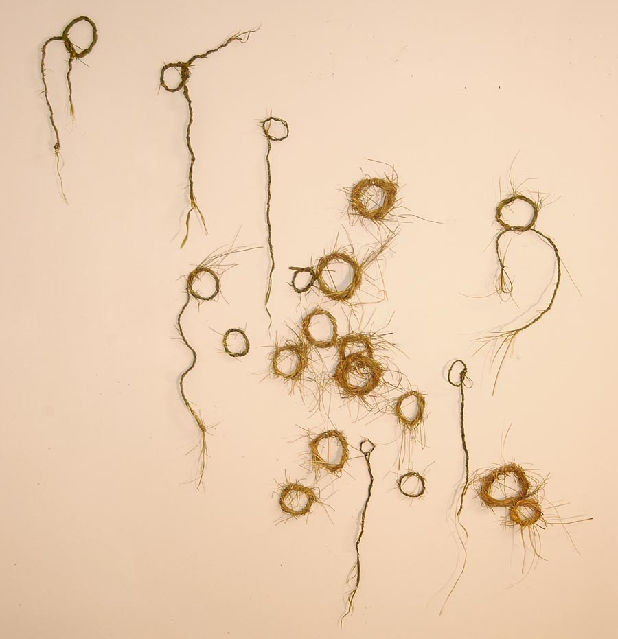 Square Cloud Factory